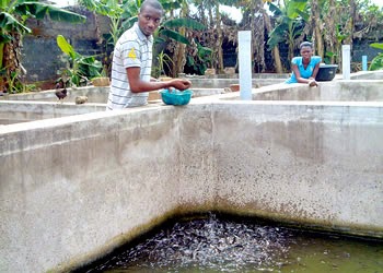 how to make money from fish farming in nigeria